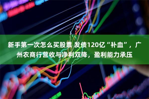 新手第一次怎么买股票 发债120亿“补血”，广州农商行营收与净利双降，盈利能力承压