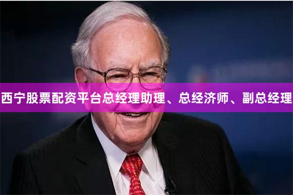 西宁股票配资平台总经理助理、总经济师、副总经理