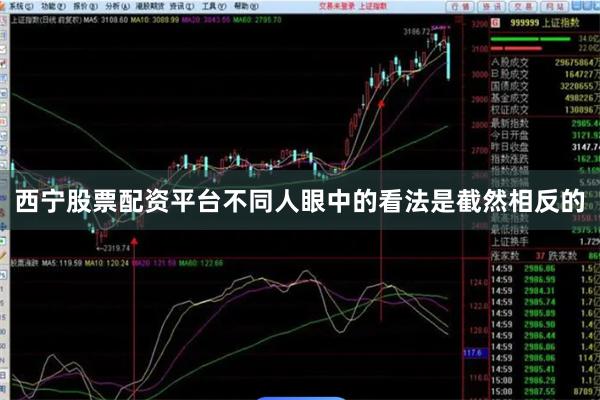 西宁股票配资平台不同人眼中的看法是截然相反的