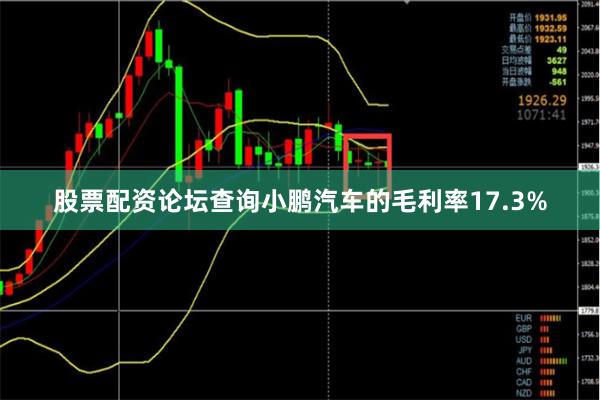 股票配资论坛查询小鹏汽车的毛利率17.3%