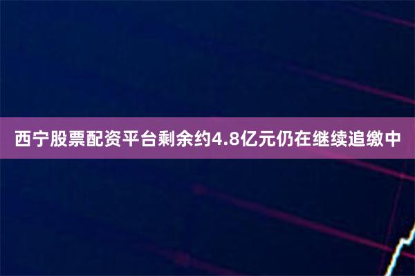 西宁股票配资平台剩余约4.8亿元仍在继续追缴中