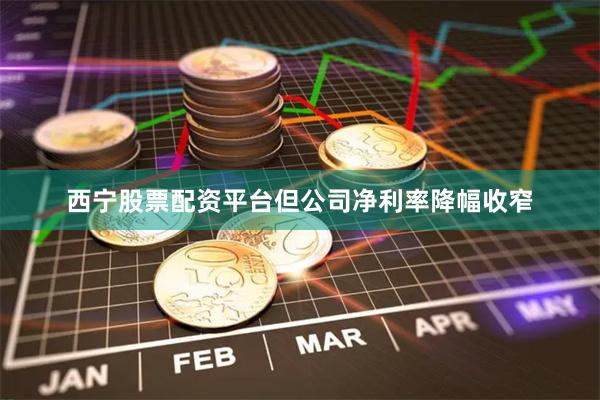 西宁股票配资平台但公司净利率降幅收窄